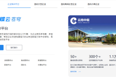 金蝶ERP系统有几个版本？哪个版本最适合企业使用？