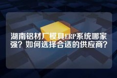湖南铝材厂模具ERP系统哪家强？如何选择合适的供应商？
